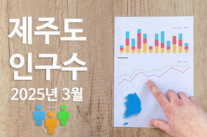 제주도인구정보